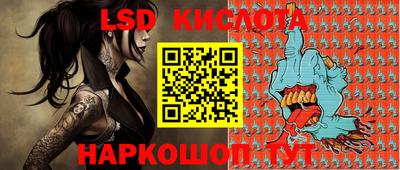 дмт Камышлов