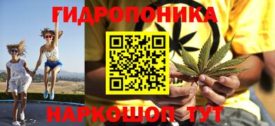 дмт Камышлов