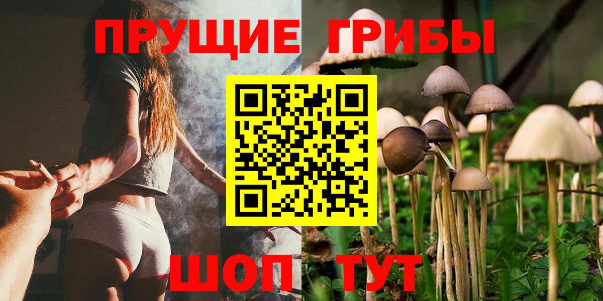 Майский  Галлюциногенные грибы GOLDEN TEACHER  Вход с VPN 